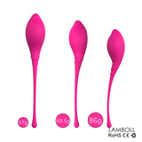 Vaginal Dumbbell Kegel Ball for Women Pelvic Floor Muscle Trainer Private Area Tightening Exerciser