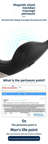 Nuoer Male Sex Products Prostate Massager Anal Plug Semen Locking Ring Back Chamber Masturbation Device