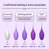 Postpartum Recovery Kegel Trainer Set – Premium Intimate Wellness Kit