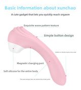 10 Frequency Suction Vibrator USB Magnetic Charging Suction Device No Hole Suction Vibrator for Women