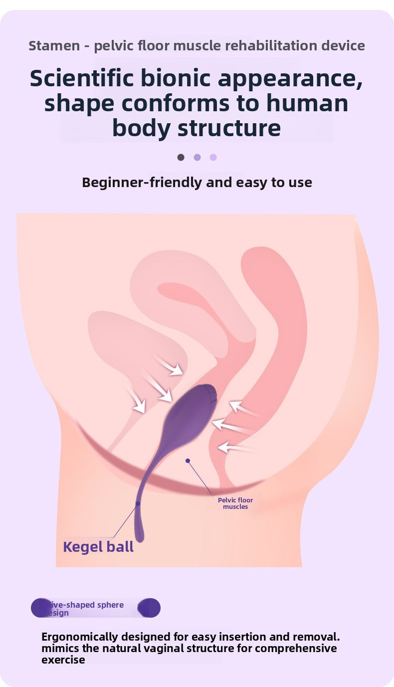 Postpartum Recovery Kegel Trainer Set – Premium Intimate Wellness Kit