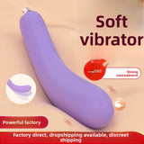 Flexible Eggplant Vibrator Sex Toy – Bendable Insert Design