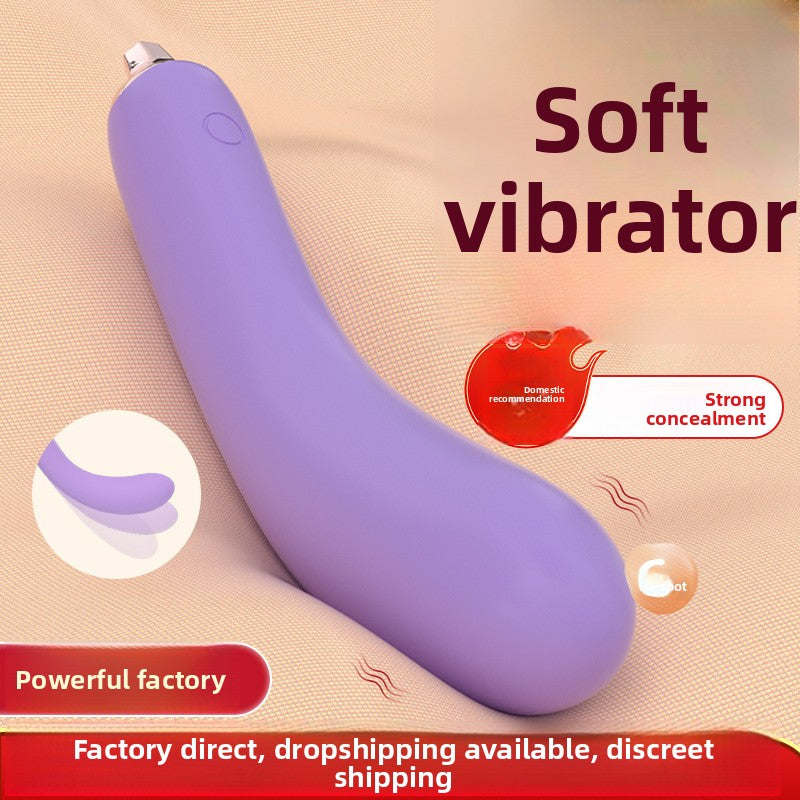 Flexible Eggplant Vibrator Sex Toy – Bendable Insert Design