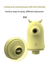 A Soft, Curious Companion for Sweet, Intimate Sensations