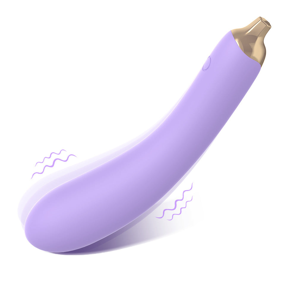 Flexible Eggplant Vibrator Sex Toy – Bendable Insert Design