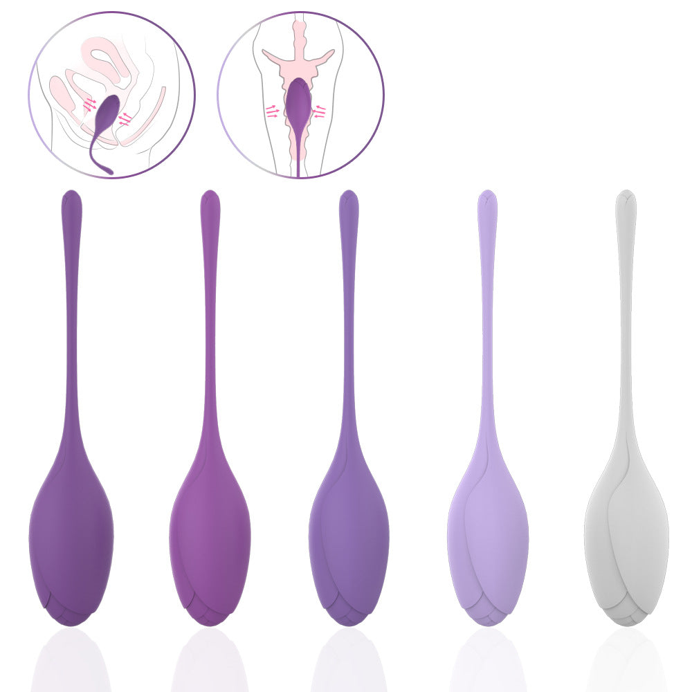 Postpartum Recovery Kegel Trainer Set – Premium Intimate Wellness Kit