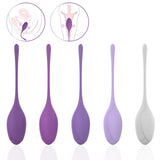 Postpartum Recovery Kegel Trainer Set – Premium Intimate Wellness Kit
