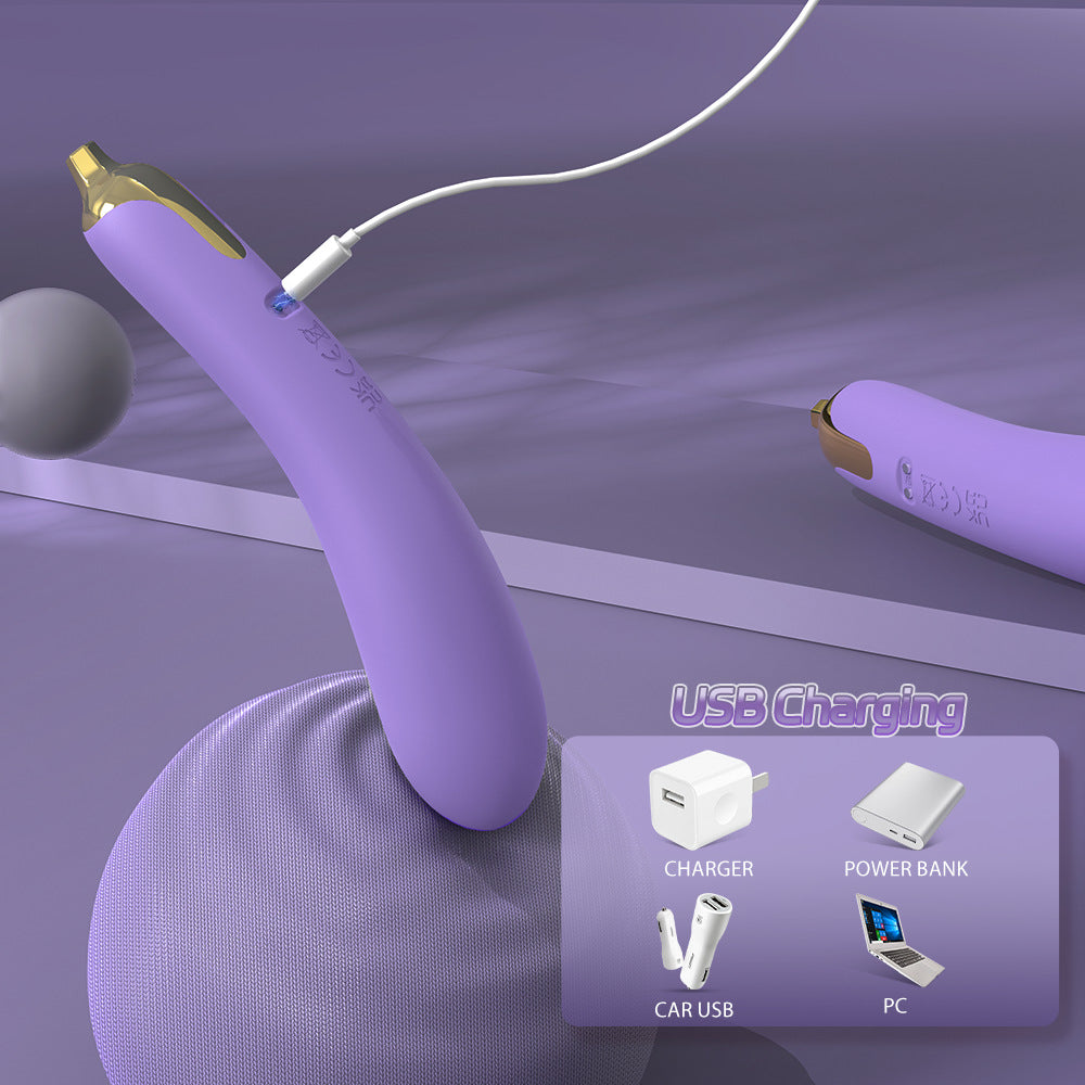 Flexible Eggplant Vibrator Sex Toy – Bendable Insert Design