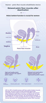 Premium Kegel Ball Pelvic Trainer Sex Toy – Core Strength System