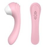 10 Frequency Suction Vibrator USB Magnetic Charging Suction Device No Hole Suction Vibrator for Women