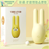 AITT Female Toy Strong Vibration Silent app Remote Control Vibrator for Outdoor Wear, Sexy Instant Trendy Magic Vibrator
