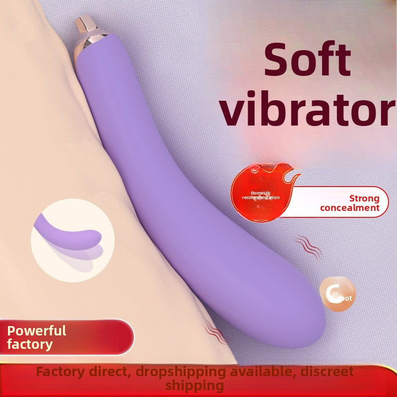 Flexible Eggplant Vibrator Sex Toy – Bendable Insert Design