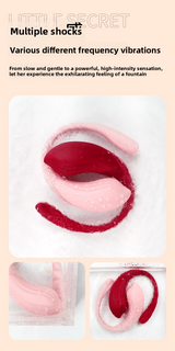 Remote Control Vibrator for Women, Wearable Female Toy, Vibrator for Female Masturbation