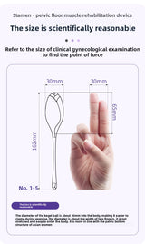 Premium Kegel Ball Pelvic Trainer Sex Toy – Core Strength System