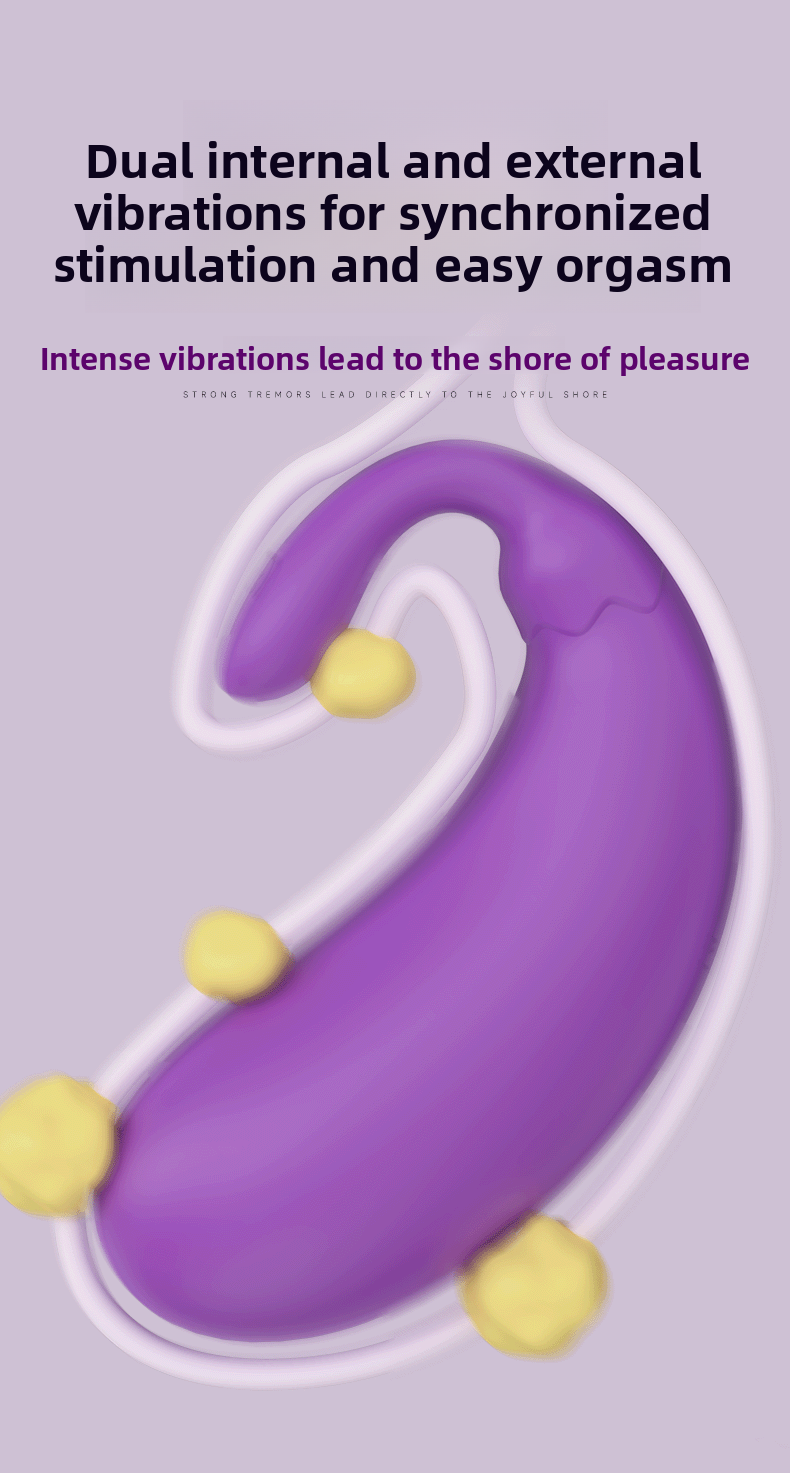 Remote Control Vibrator Egg Full Coverage Wearable Vibrator for Women Dual Point