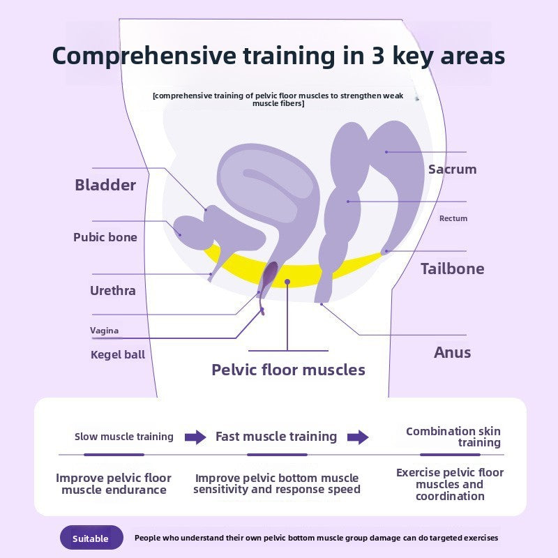 Postpartum Recovery Kegel Trainer Set – Premium Intimate Wellness Kit