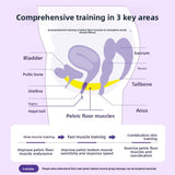 Postpartum Recovery Kegel Trainer Set – Premium Intimate Wellness Kit