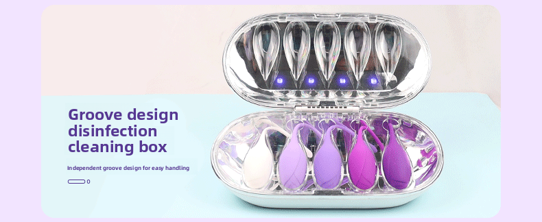 Postpartum Recovery Kegel Trainer Set – Premium Intimate Wellness Kit