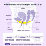 Premium Kegel Ball Pelvic Trainer Sex Toy – Core Strength System