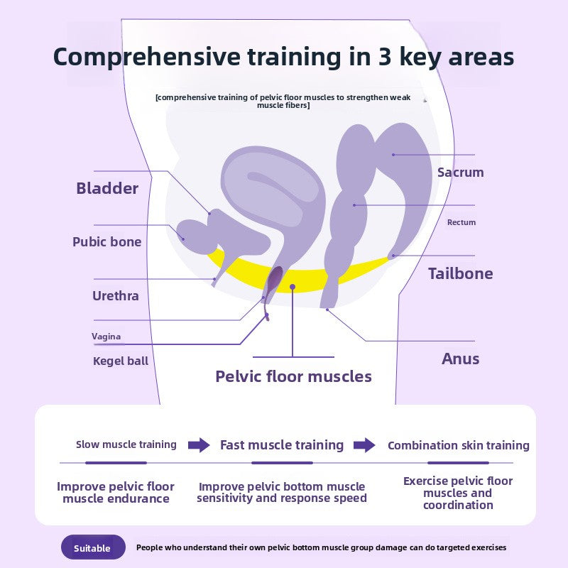 Premium Kegel Ball Pelvic Trainer Sex Toy – Core Strength System