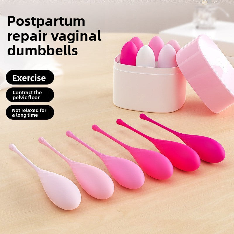 Vaginal Dumbbell Kegel Ball for Women Pelvic Floor Muscle Trainer Private Area Tightening Exerciser